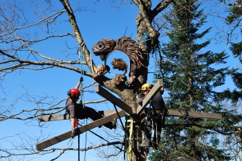 DSC_8962.JPG